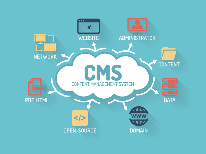 Custom CMS Development Services in Alexandria ,VA - Scalable Content Management Solutions